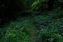 2-mb-DSCF9197-scaled